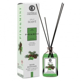 معطر الجو برائحة الصنوبر والنعناع