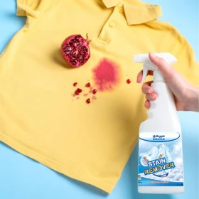 staint remover miracle